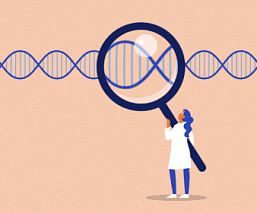 Влияют ли гены на наш характер, интеллект и психологическое здоровье?