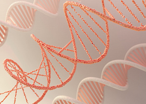 Влияние гормональных дисбалансов на психическое здоровье